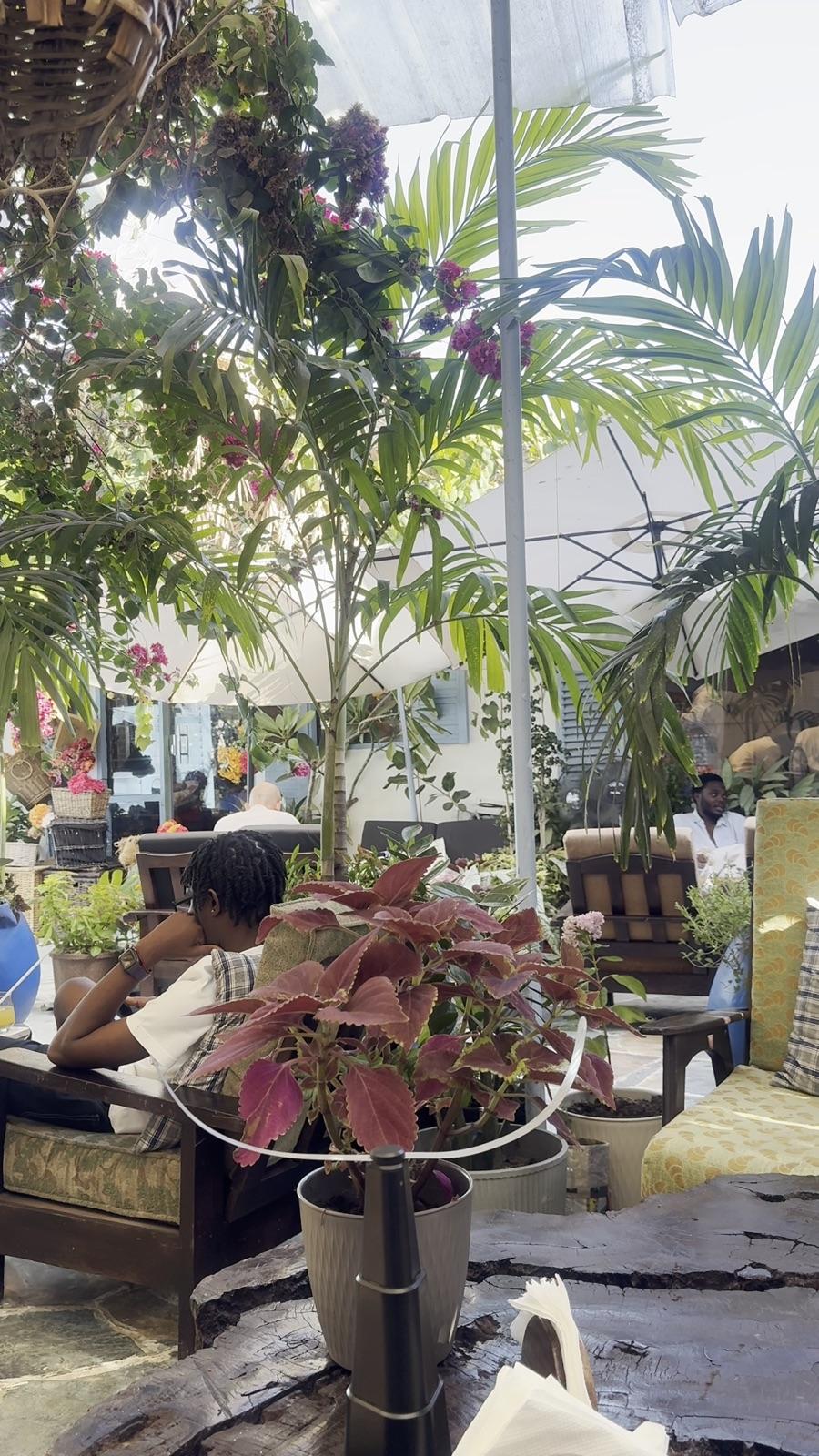 Guests relaxing under the palms and bougainvillea
