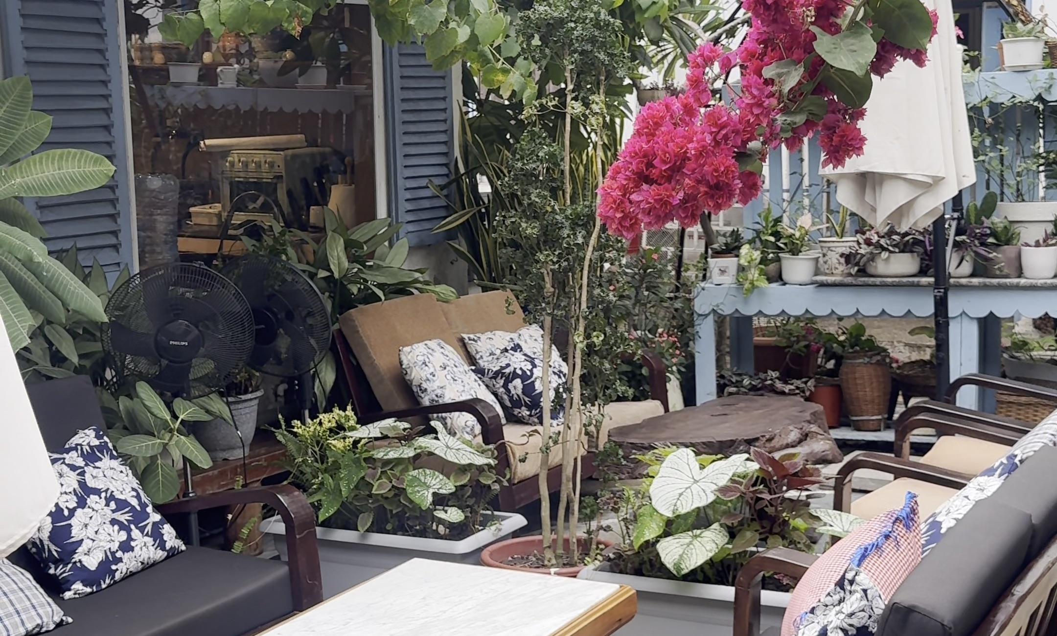 Lounge seating and bougainvillea in the Dear Lola garden courtyard