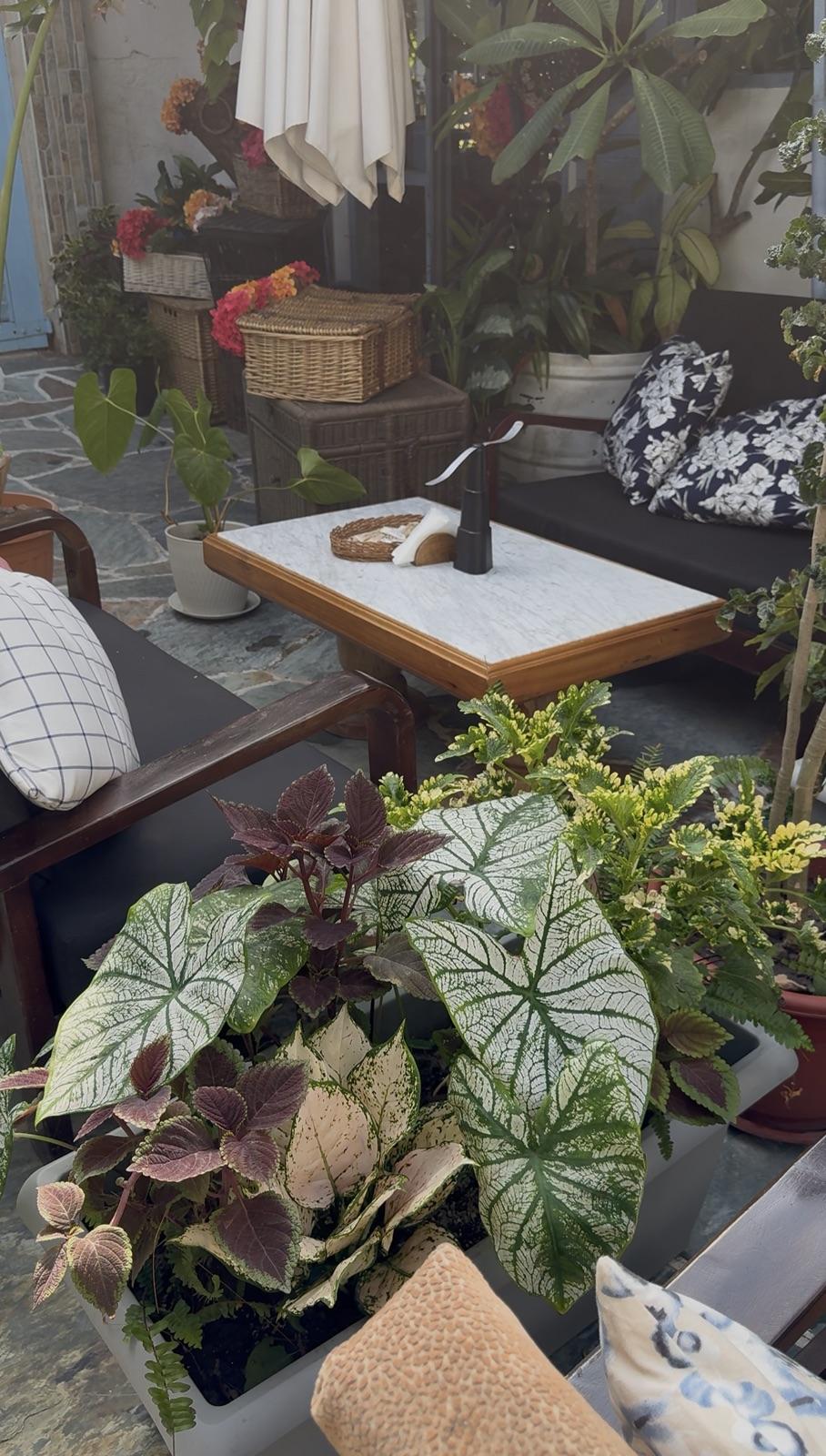 Courtyard lounge
