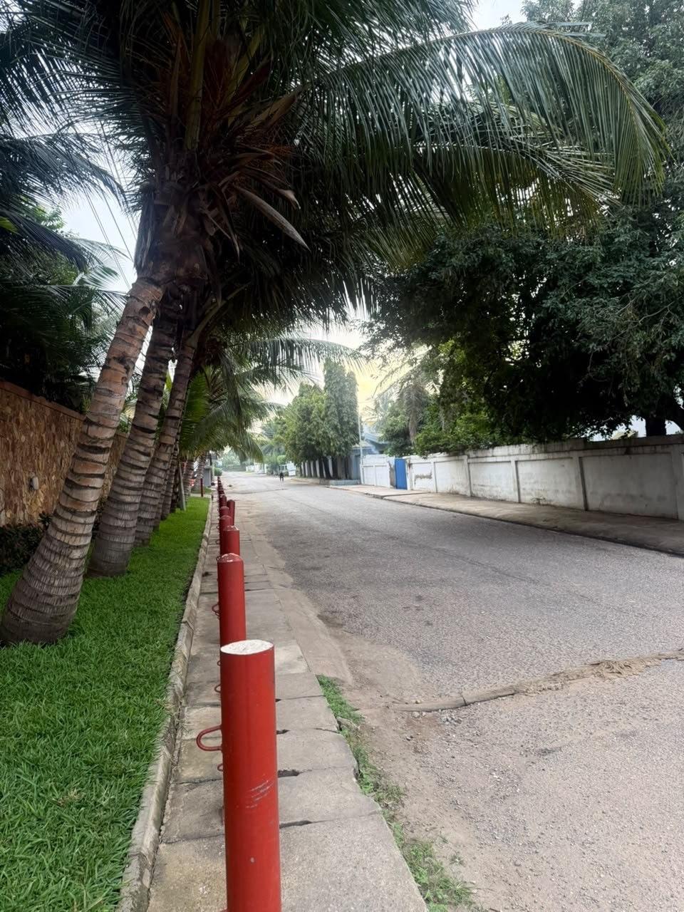 The quiet, palm-lined street leading to Dear Lola in Osu